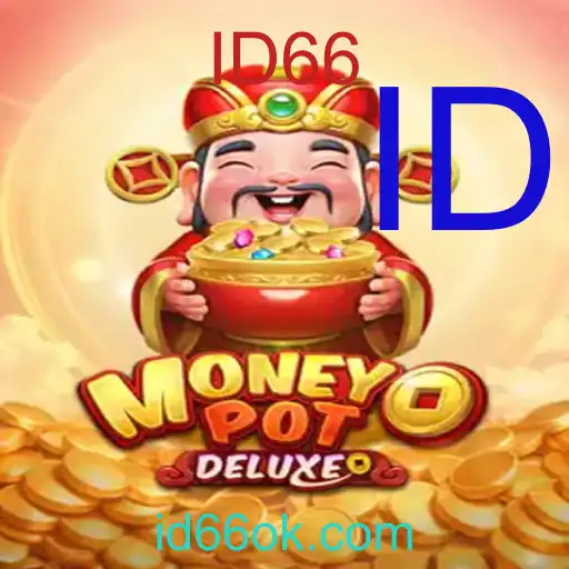 MoneyPotDELUXE